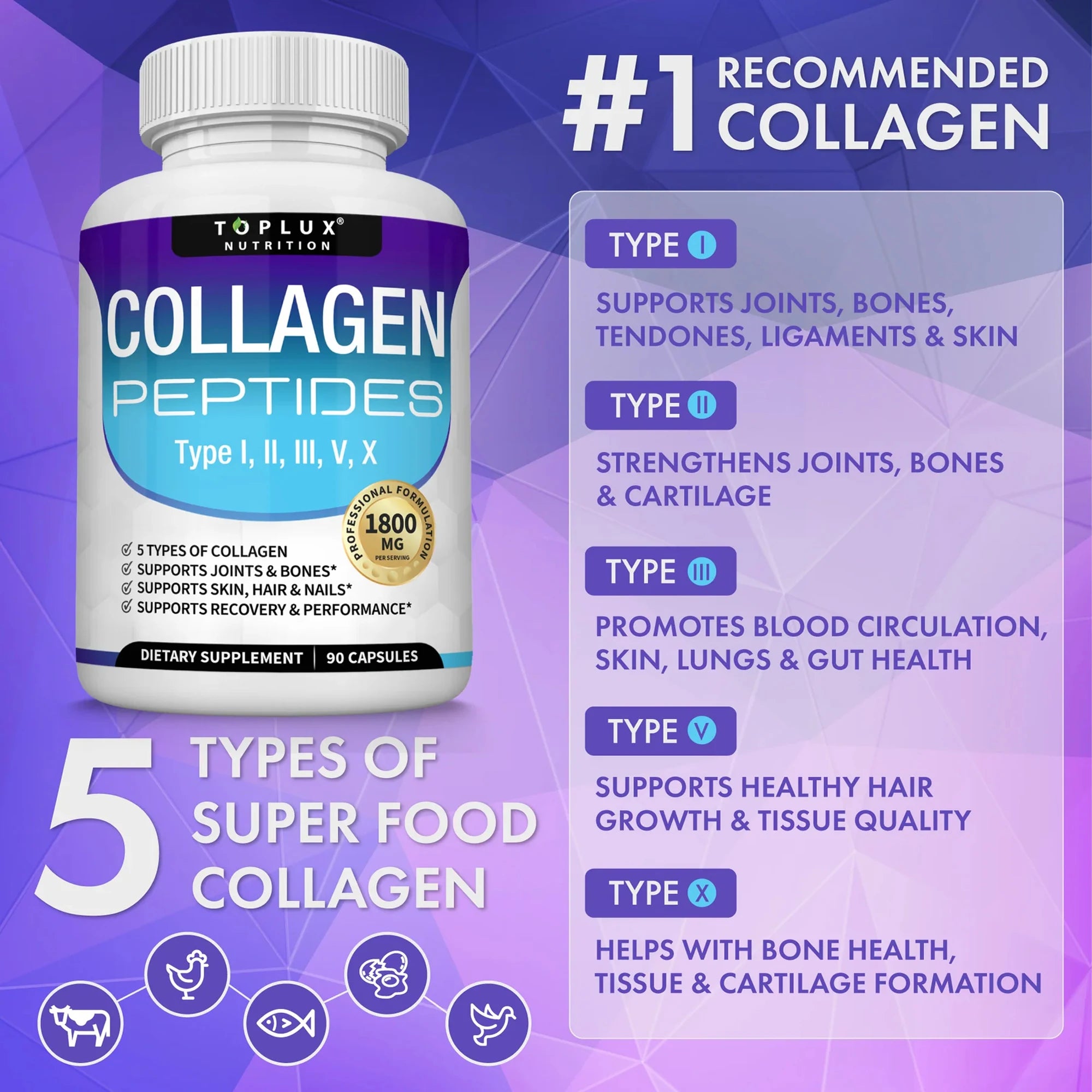 Collagen Peptides 1800mg – Multi-Type Formula for Skin, Hair, Joints & Bones